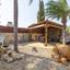 4 bedroom detached house for sale protaras famagusta 8741332 thumbnail 16390951