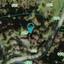 land for sale mesa gitonia limassol 8857332 thumbnail 17142312