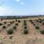 land for sale pera orinis nicosia 8139332 thumbnail 15907239