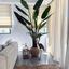 2 bedroom apartment for rent agios nicolaos limassol 8633432 thumbnail 15880951