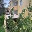 2 bedroom apartment off market tala paphos 8225432 thumbnail 16284629