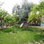 7 bedroom detached house for sale makedonitissa nicosia 1152432 thumbnail 5154210
