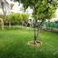 7 bedroom detached house for sale makedonitissa nicosia 1152432 thumbnail 5154219