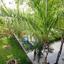7 bedroom detached house for sale makedonitissa nicosia 1152432 thumbnail 5154223