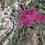 7814 SQM Land for sale in Kakopetria, Nicosia thumbnail 14030546