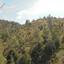 11037 SQM Land for sale in Kalo Chorio Lemesou, Limassol thumbnail 15600716
