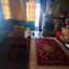 3 bedroom detached house for rent korfi limassol 8076532 thumbnail 14874373