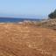 land for sale nea dimmata paphos 8395532 thumbnail 14820151