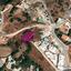 land for sale neo chorio paphos 1355532 thumbnail 12911158