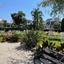 land for sale zakaki limassol 1547532 thumbnail 6809930