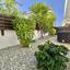 1 bedroom apartment for rent kato paphos universal paphos 8890632 thumbnail 17320888
