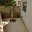 1 bedroom semi detached house for rent katholiki limassol 8746632 thumbnail 16443757