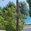 2 bedroom apartment for sale limassol municipality limassol 7508632 thumbnail 14120314