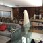 4 bedroom detached house for sale limassol municipality limassol 1170632 thumbnail 6262668