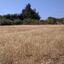 land for sale kouklia pafou paphos 939632 thumbnail 835591