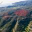 land for sale pissouri limassol 7660632 thumbnail 15839427