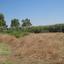 plot for sale oroklini larnaca 1581632 thumbnail 16191708