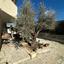 10 bedroom detached house for sale germasogeia limassol 1668732 thumbnail 6201890
