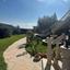 10 bedroom detached house for sale germasogeia limassol 1668732 thumbnail 6201969
