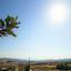 3 bedroom detached house for sale monagroulli limassol 8639732 thumbnail 15907325