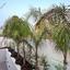 7 bedroom detached house for sale strovolos nicosia 1682732 thumbnail 4387197
