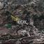 land for sale dierona limassol 1146732 thumbnail 5507283