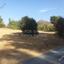 land for sale mosfiloti larnaca 8710732 thumbnail 16269448
