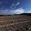 land for sale agios theodoros larnacas larnaca 7750832 thumbnail 10274026