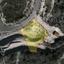land for sale agios tychonas limassol 7773832 thumbnail 10366956