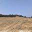 land for sale prodromi paphos 8395832 thumbnail 14822010