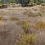 plot for sale souni zanakia limassol 8804832 thumbnail 16801982