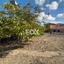 2 bedroom detached house for sale salamiou paphos 1691932 thumbnail 12975503