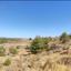 9031 SQM Land for sale in Kampia, Nicosia thumbnail 7640468