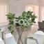 3 bedroom detached house for sale prodromi paphos 8473042 thumbnail 15214830