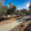 4 bedroom detached house for sale tsakilero larnaca 7775042 thumbnail 13134910