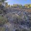 land for sale pelendri limassol 7580042 thumbnail 15597334