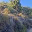 land for sale pelendri limassol 7580042 thumbnail 15597335