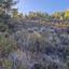 land for sale pelendri limassol 7580042 thumbnail 15597336