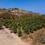 land for sale prodromi paphos 823042 thumbnail 16225504