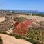 land for sale prodromi paphos 823042 thumbnail 16225507
