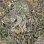 plot off market kolossi limassol 1457042 thumbnail 9397616