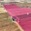 land for sale avgorou famagusta 1625142 thumbnail 13347588