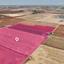 land for sale avgorou famagusta 1625142 thumbnail 13347590