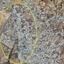 plot for sale paralimni famagusta 833142 thumbnail 686782