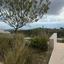 3 bedroom detached house for rent tsada paphos 8699242 thumbnail 16217336