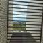 3 bedroom detached house for rent tsada paphos 8699242 thumbnail 16217346