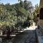 4 bedroom detached house for sale anglisides larnaca 8839242 thumbnail 17041434