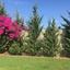4 bedroom detached house for sale parekklisia limassol 1680242 thumbnail 5162960