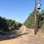 land for sale akrotiri limassol 7880242 thumbnail 17620705