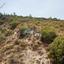land for sale trimiklini limassol 7513242 thumbnail 9382933